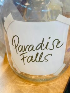 Paradise Falls Savings Jar