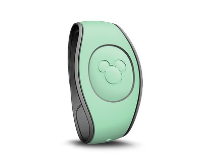 New MagicBands