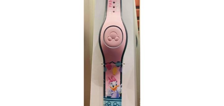 2021 Annual Passholder MagicBand