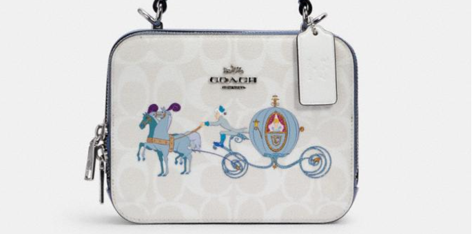 Check Out The Disney Bags You Can Get At Coach Outlet NOW! 