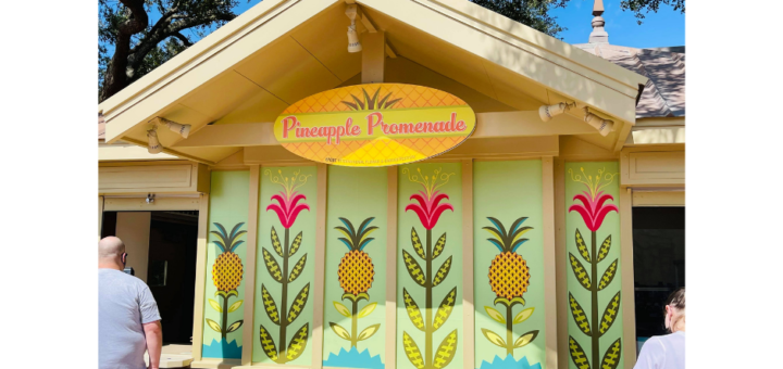 Pineapple Promenade Outdoor Kitchen