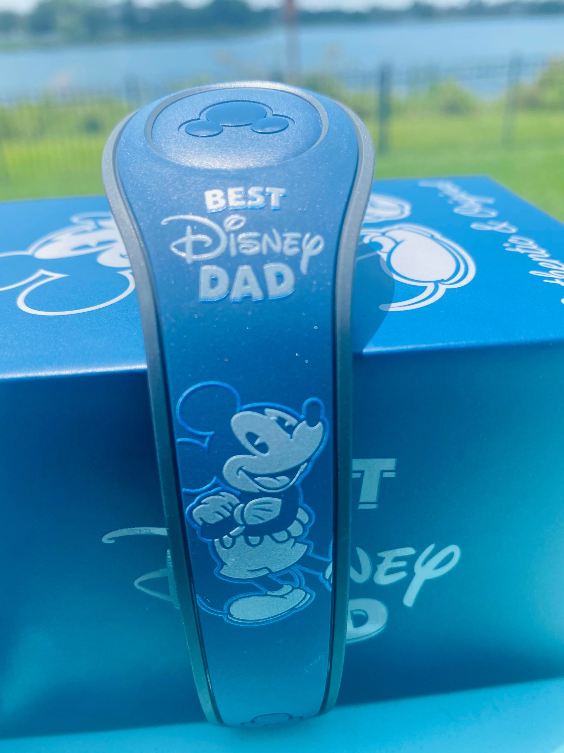 Best Disney DAD MagicBand Just Released!