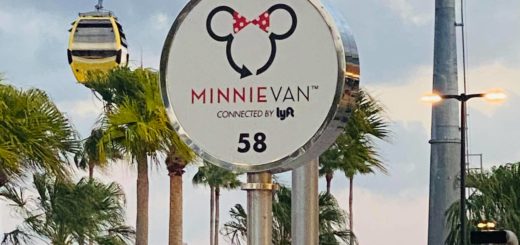 Minnie Van service