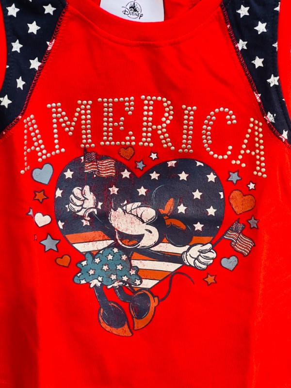 patriotic mickey