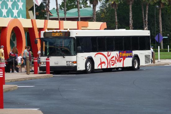 All Star Movies Buses