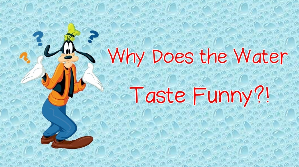 Why Does the Water at Walt Disney World Taste Funny? - MickeyBlog.com