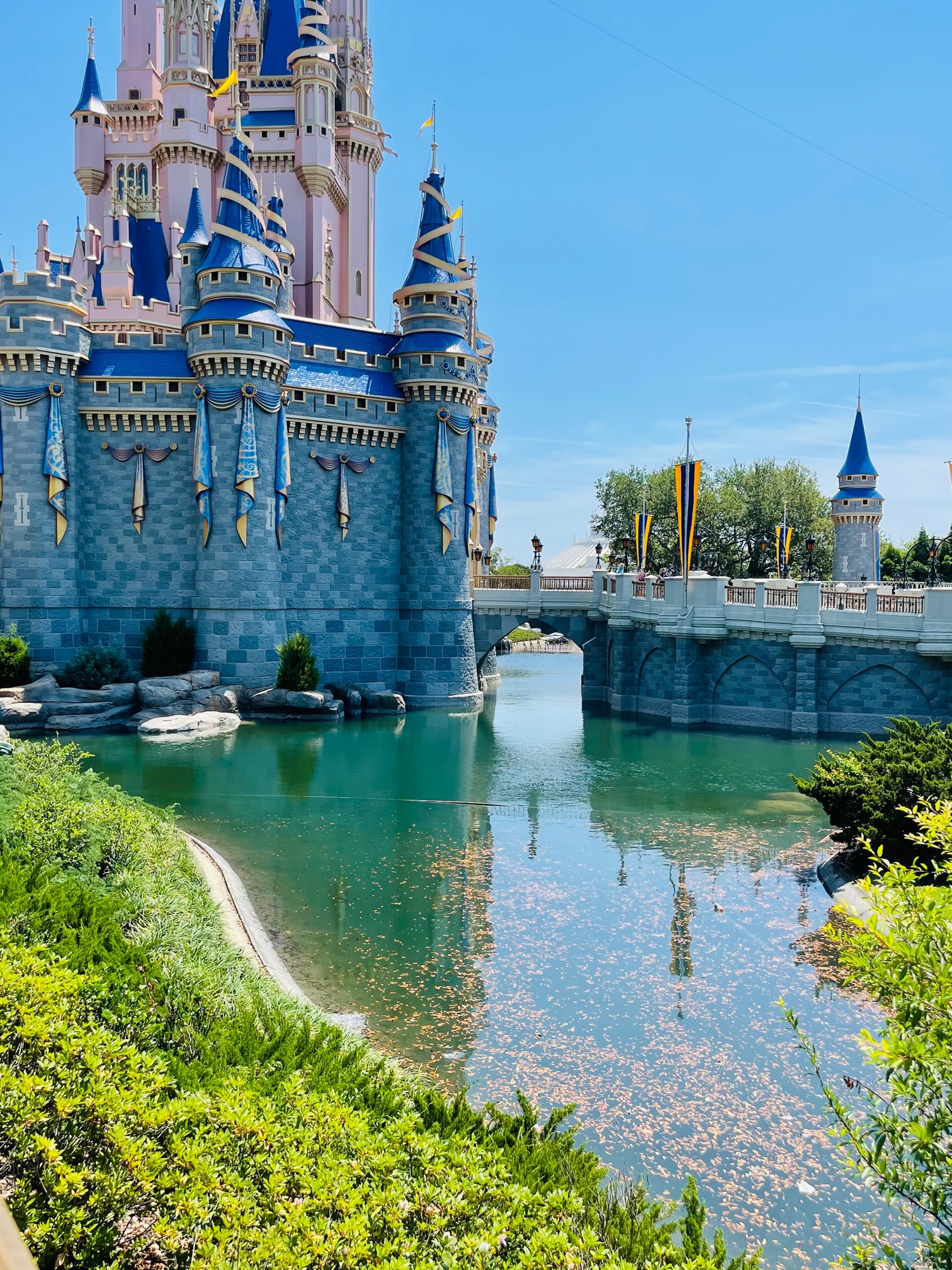 Cinderella Castle water