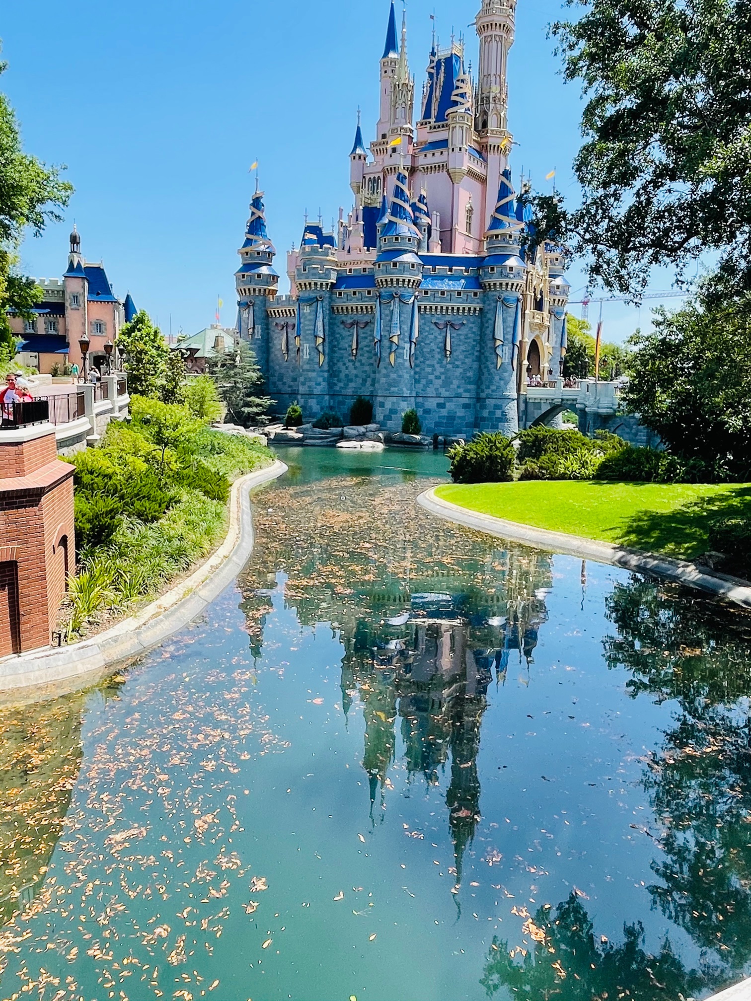 Cinderella Castle water