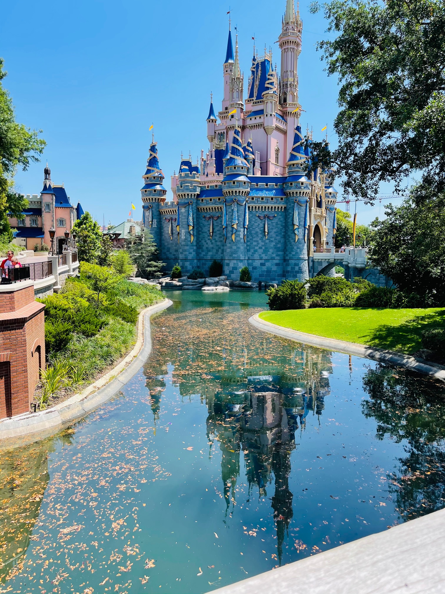 Cinderella castle water
