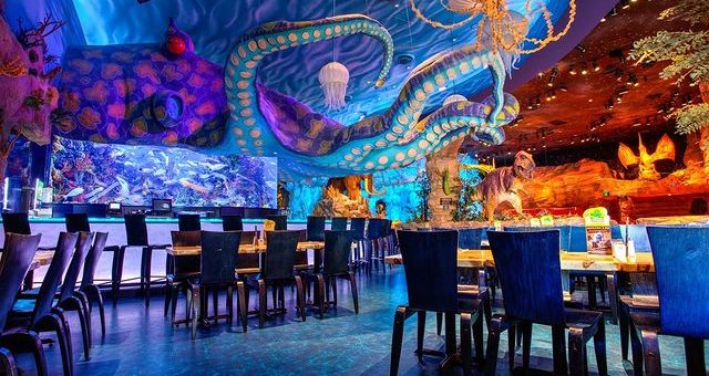 Should You Eat at These Animal Kingdom Restaurants? 