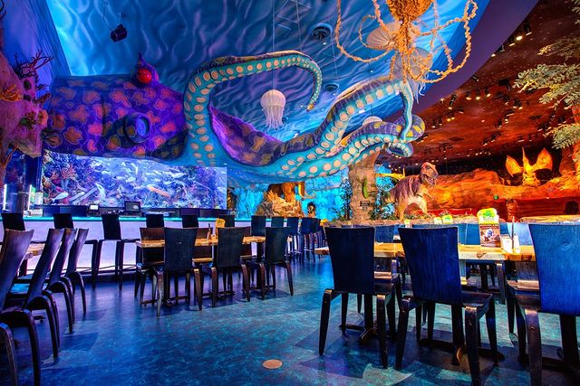 Should You Eat at These Animal Kingdom Restaurants? 