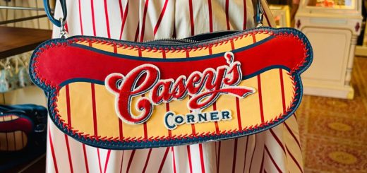 caseys corner hot dog purse