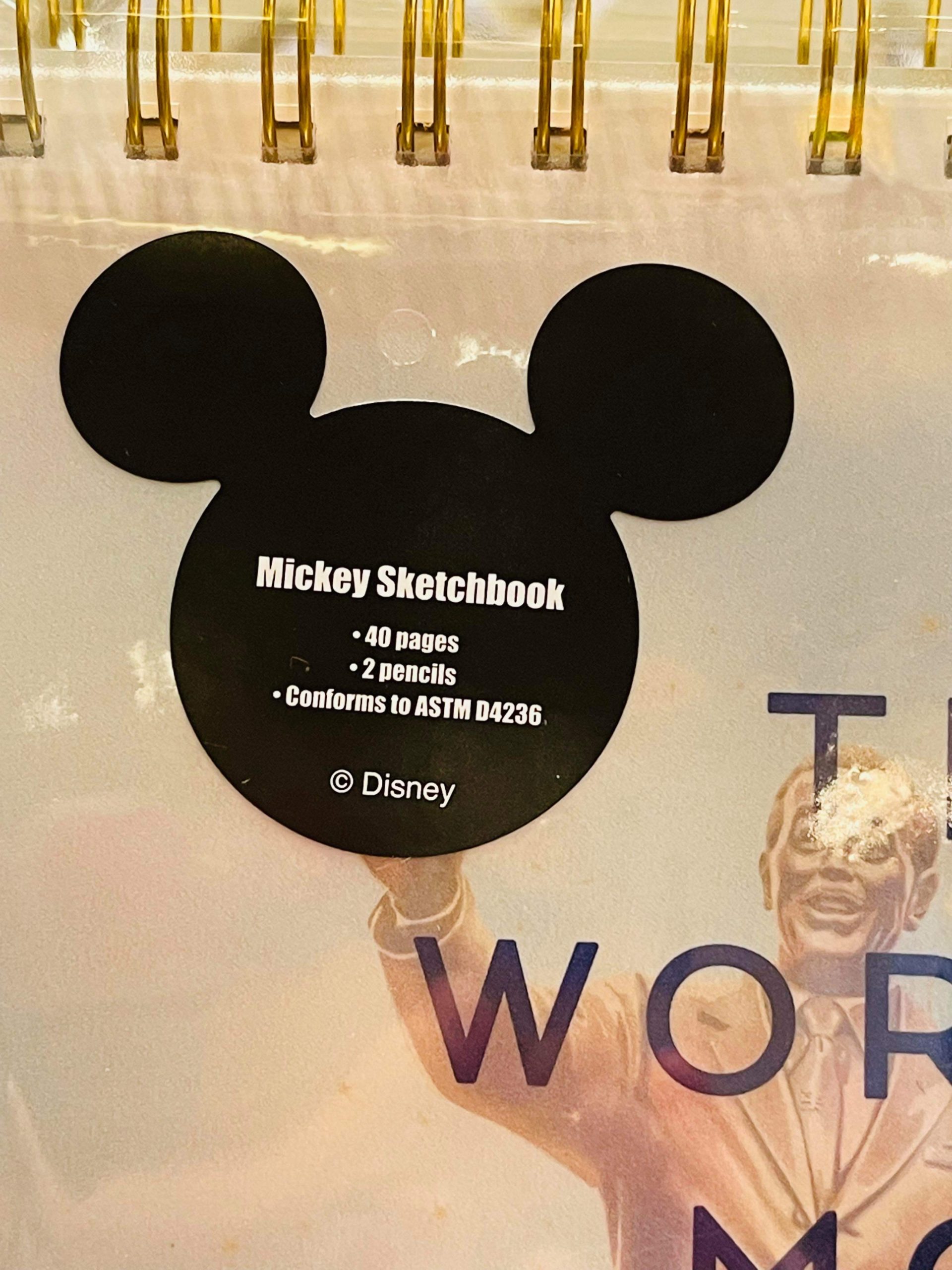 Walt Disney World 50th Anniversary Photo Album – Medium
