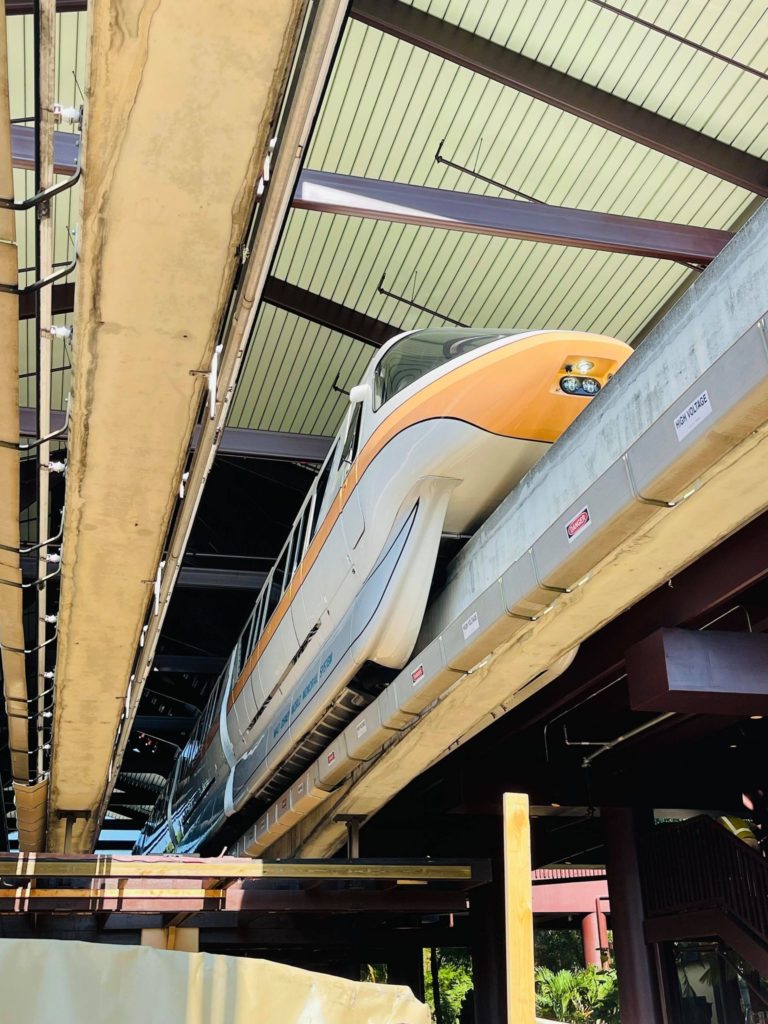 Monorail traveling along track