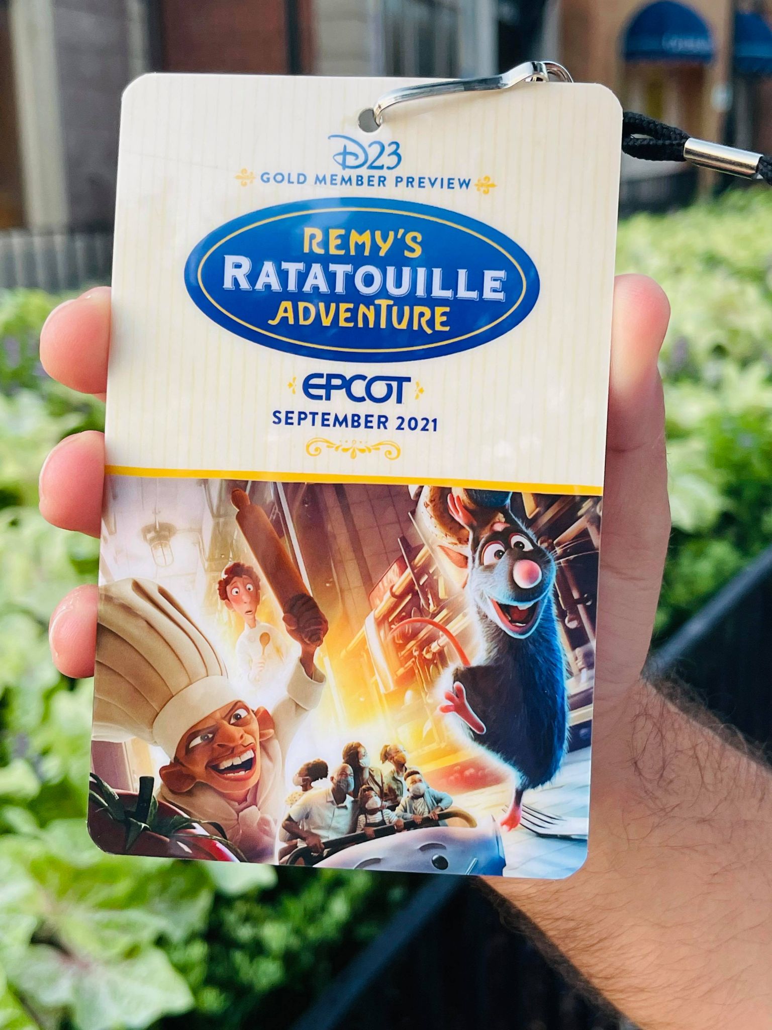 Ratatouille lanyard -  France