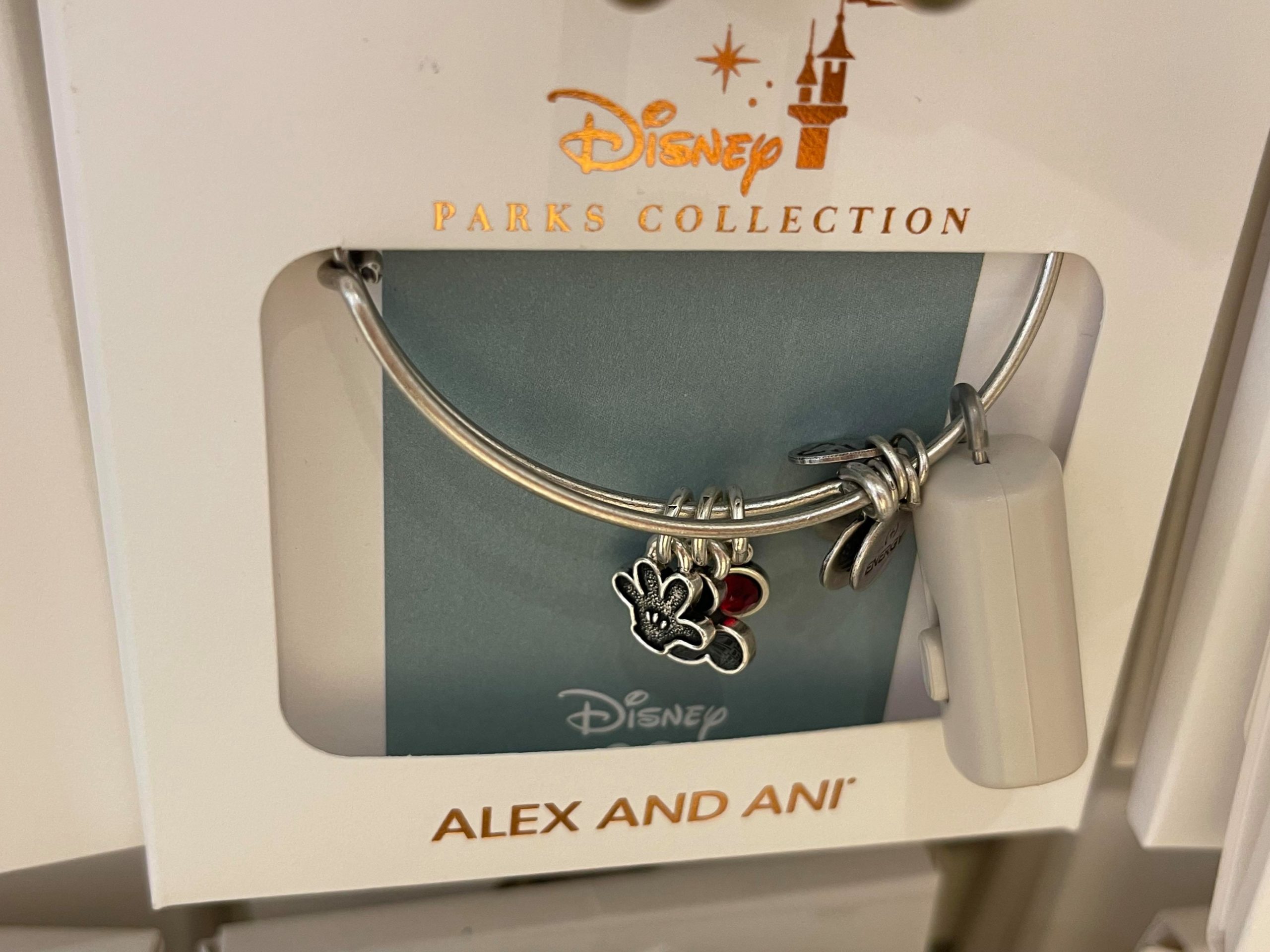 Retired Alex and Ani Silver Phoenix Bracelet - Bracelets | Facebook  Marketplace | Facebook