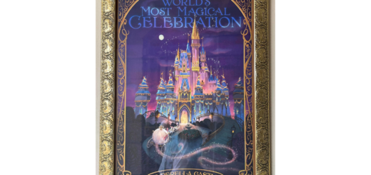 Magic Kingdom Attraction Posters