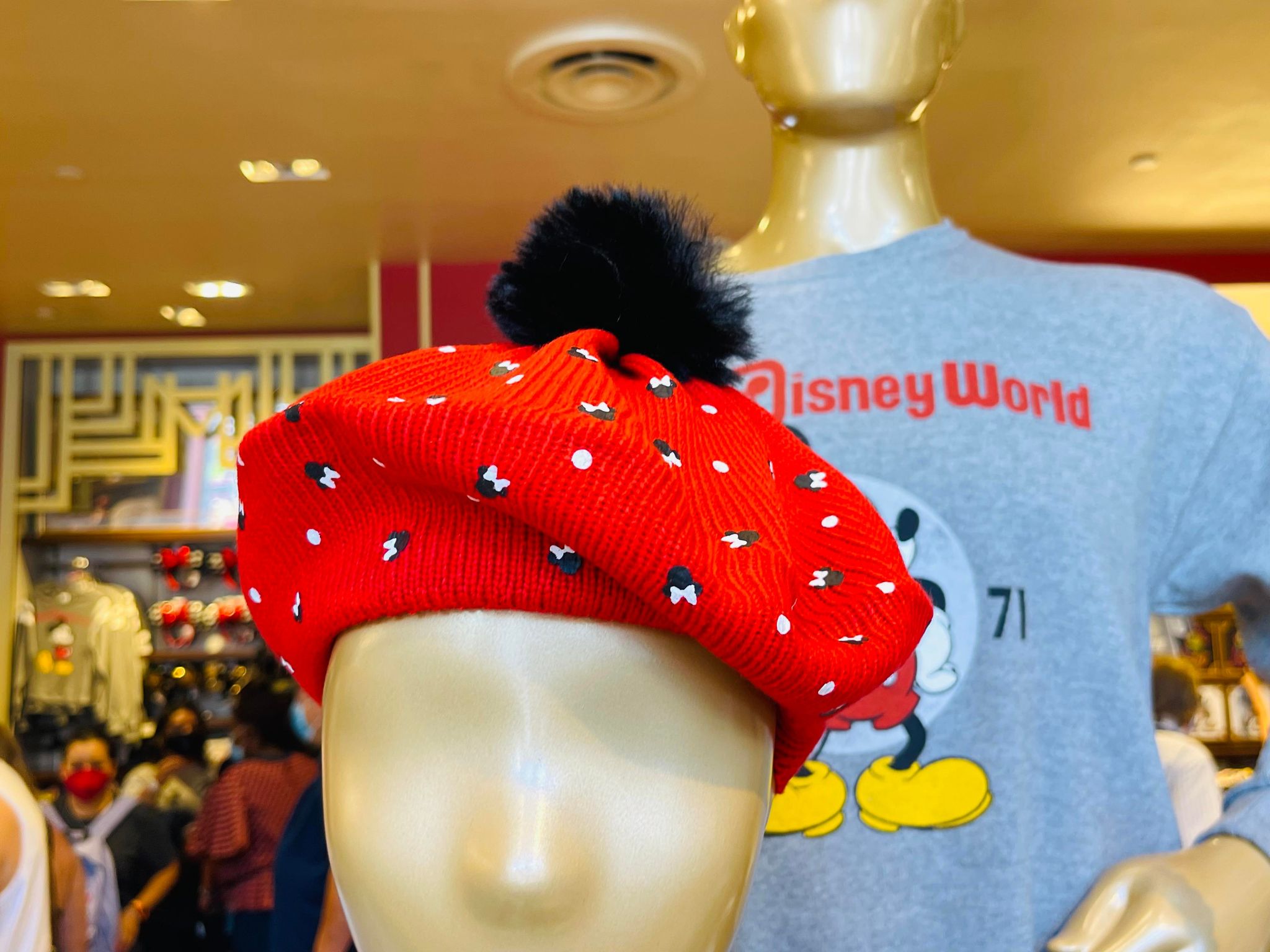 dhs winter hats