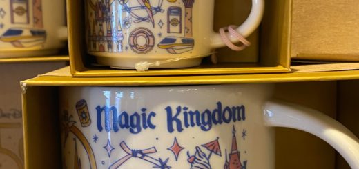Starbucks 50th anniversary been there mug and ornament Magic Kingdom