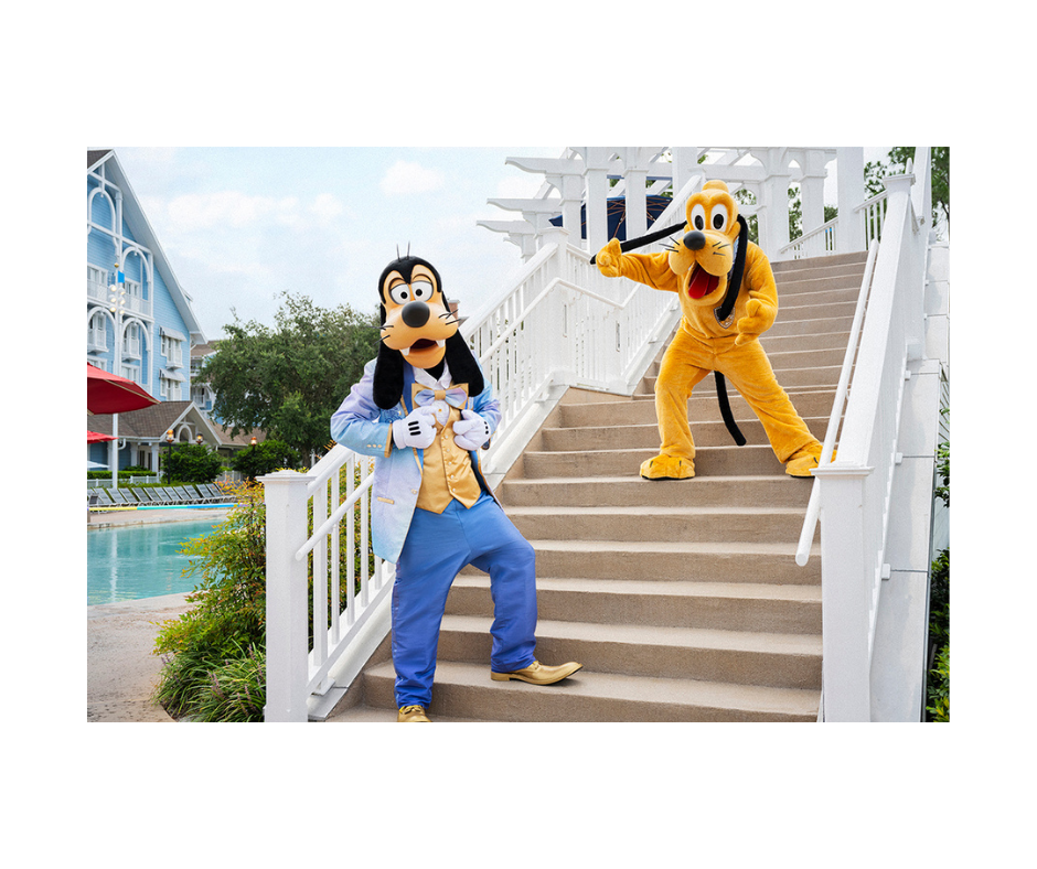 Florida 2022 Discount Disney