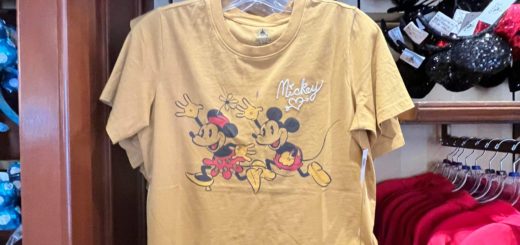Wildly Fun Stitch Merchandise Wows in Disney Springs 
