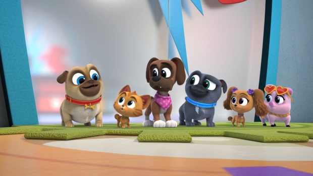 who is bob from puppy dog pals