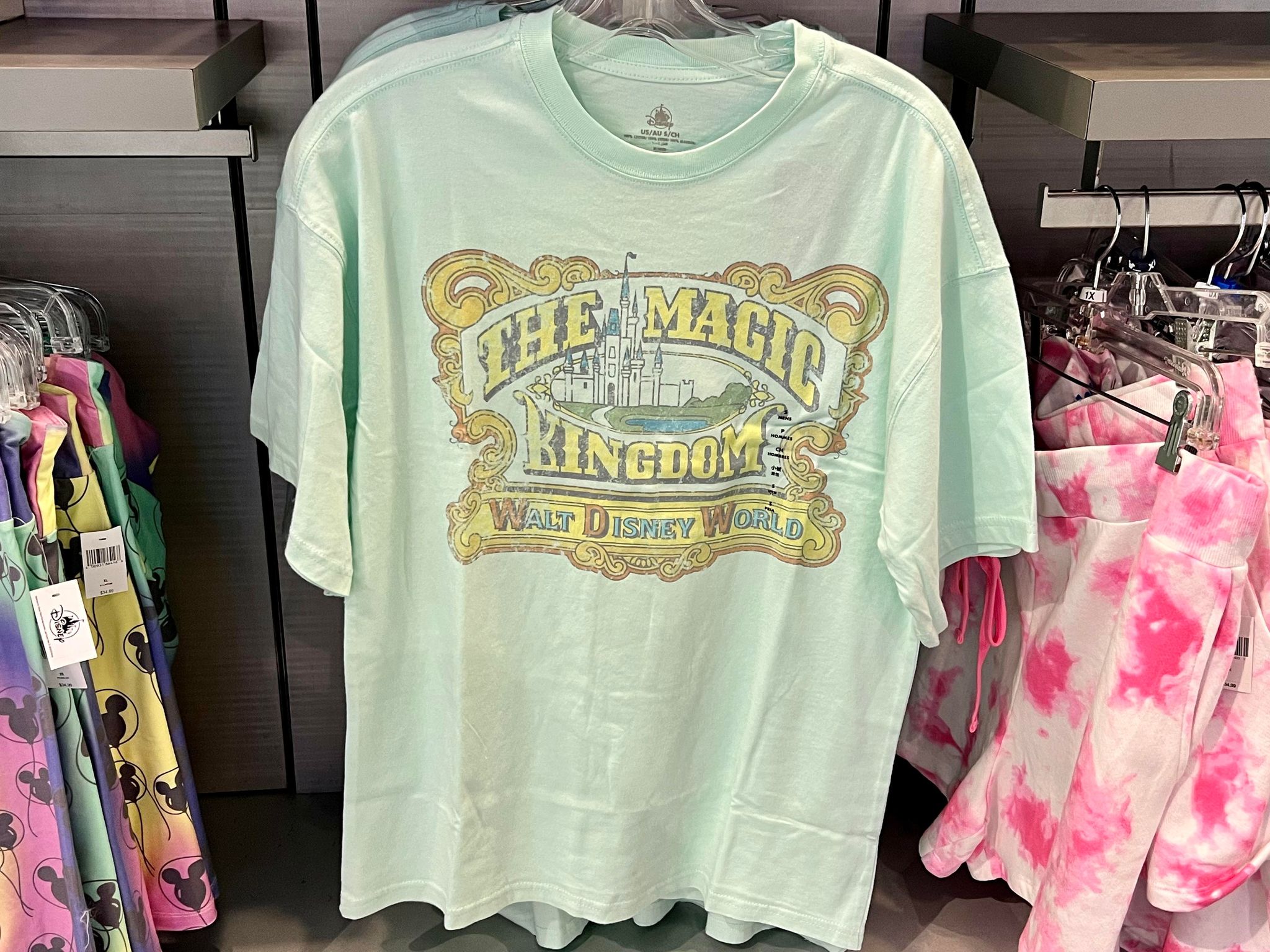 Celebrate the Classic Beauty of the Magic Kingdom in this Beautiful New ...