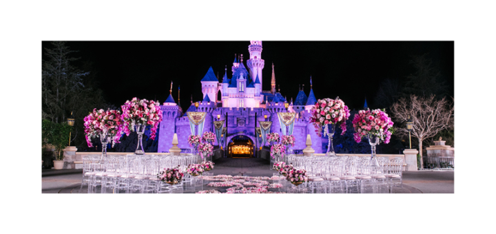 Disney Wedding Showcase