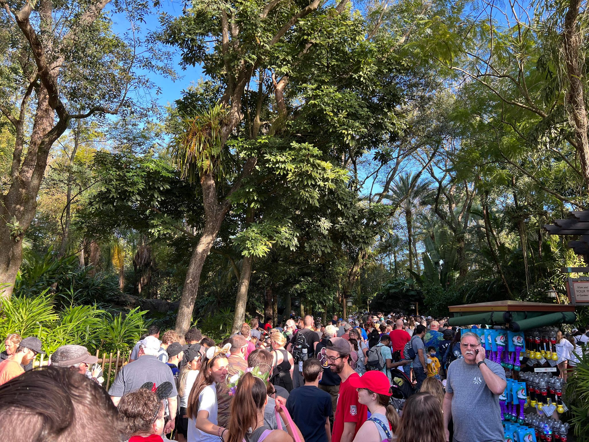 First Day of Updated Mask Rules at Disney's Animal Kingdom 