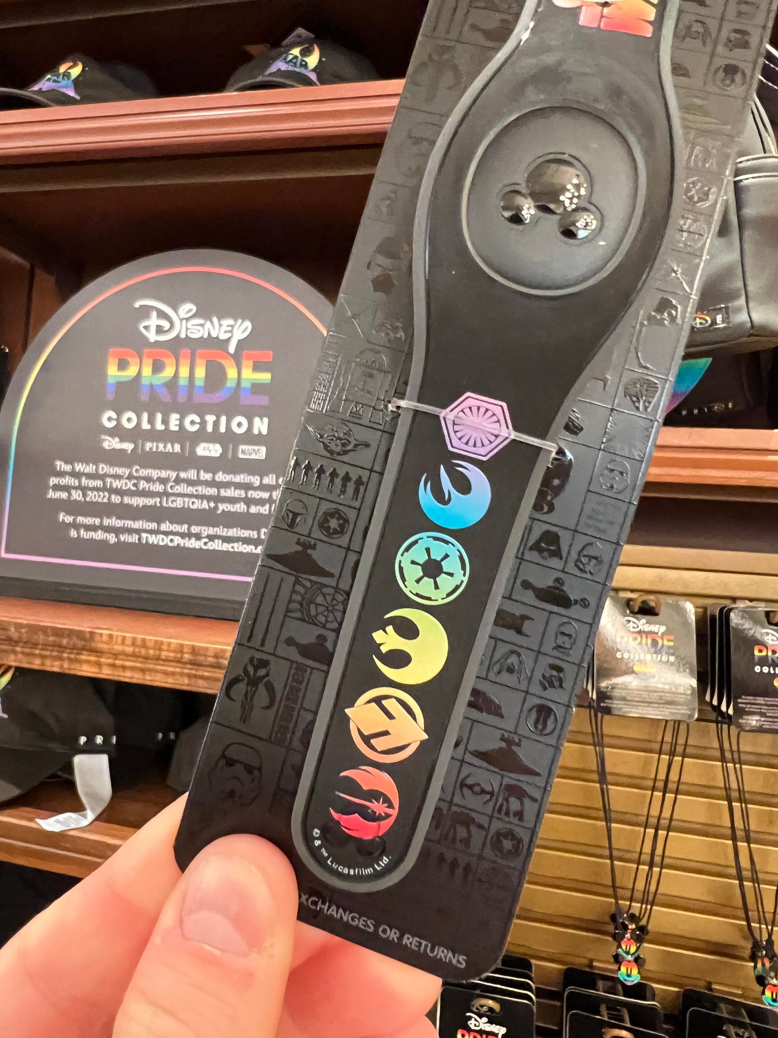 2022 Disney Pride