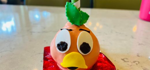 orange bird cake pop