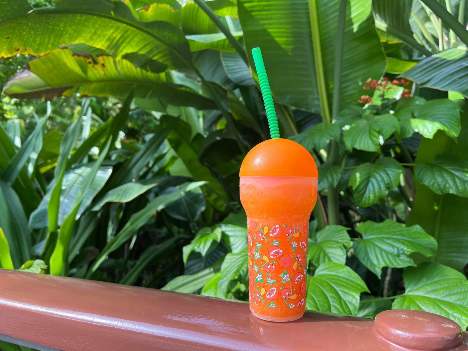 New Orange Bird Sipper Now at Main Street Confectionary