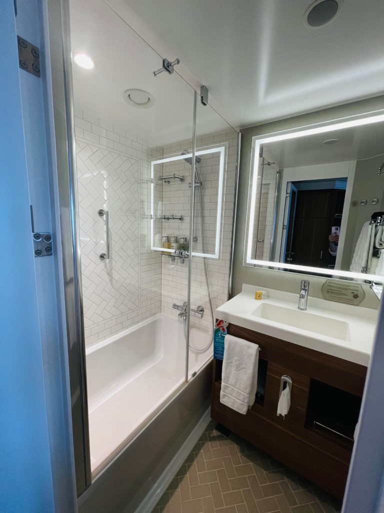 deluxe family oceanview stateroom veranda bathroom