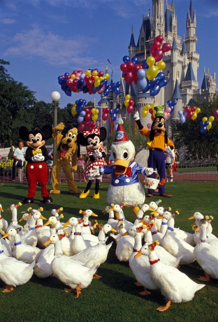 Donald Duck Birthday