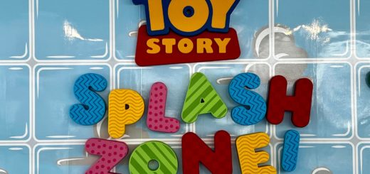 toy story splash zone wish