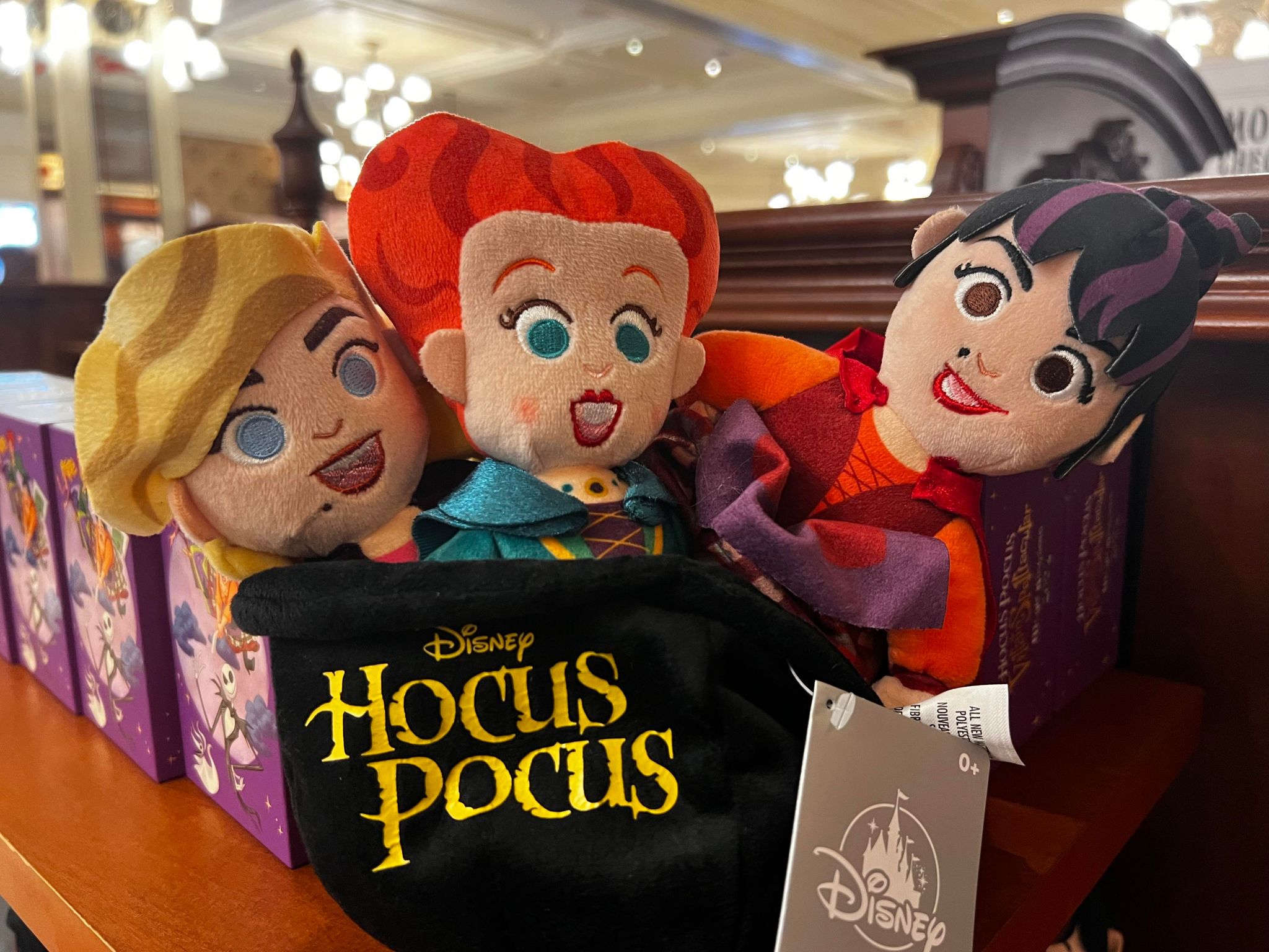 Disney Plush Set - Sanderson Sisters - Hocus Pocus