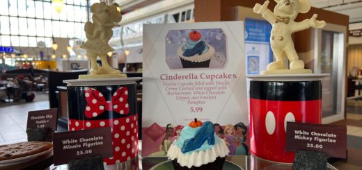 Cinderella Cupcake