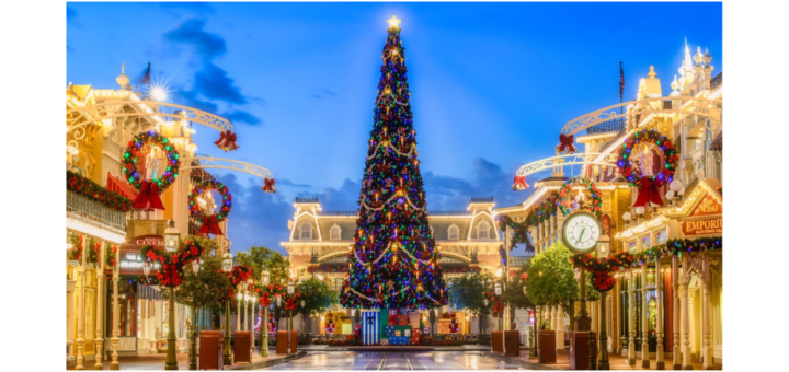 Annual Passholder Holiday Discount
