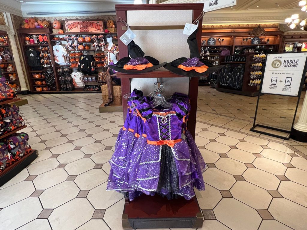 Minnie witch costume