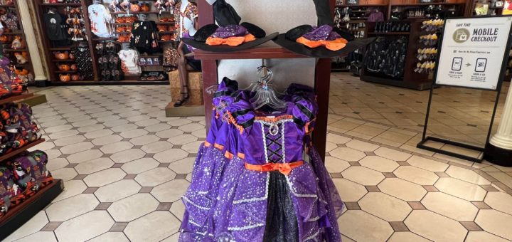 Minnie witch costume