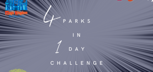 4 parks 1 day challenge