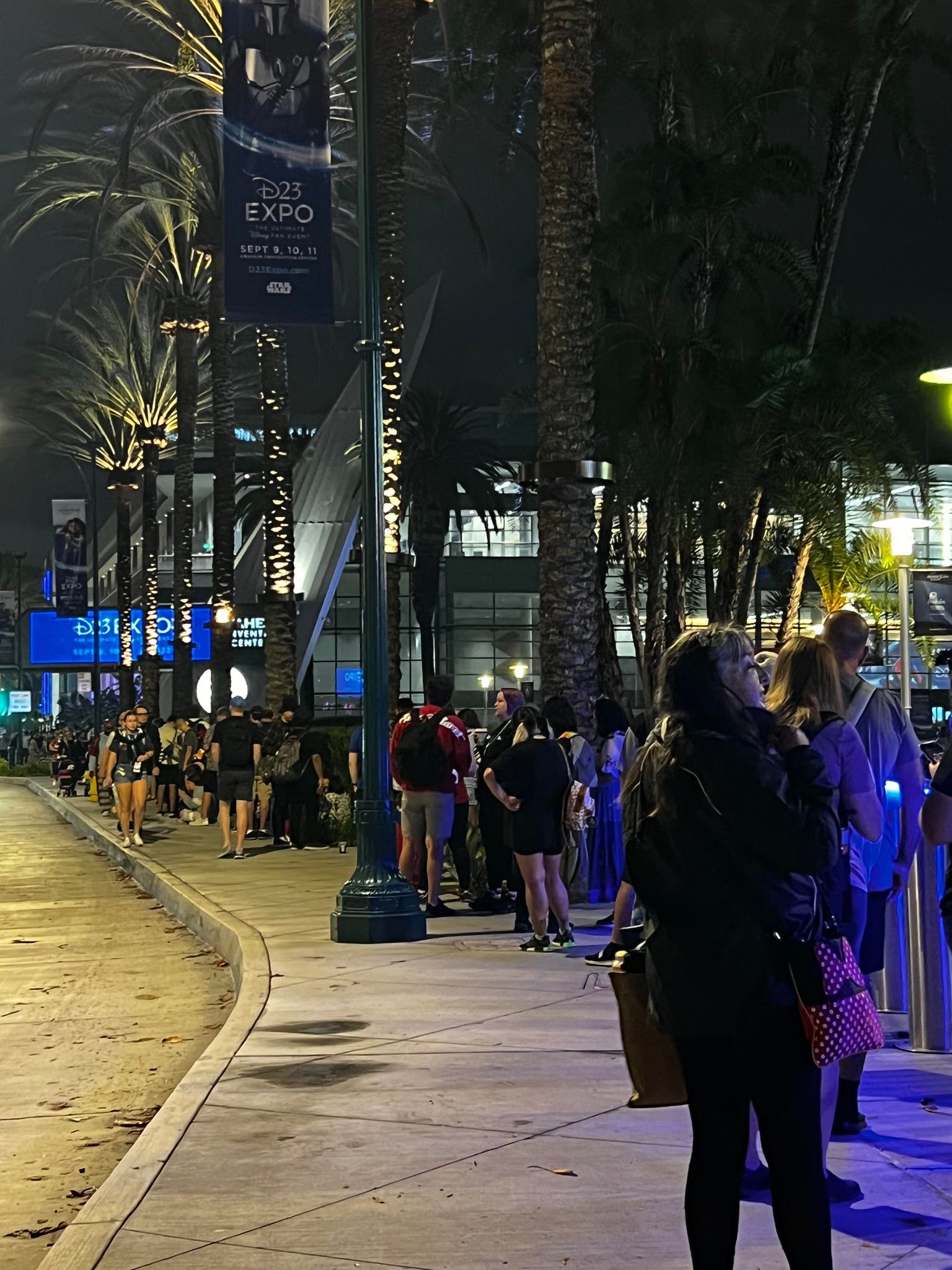 d23 day 2 lines
