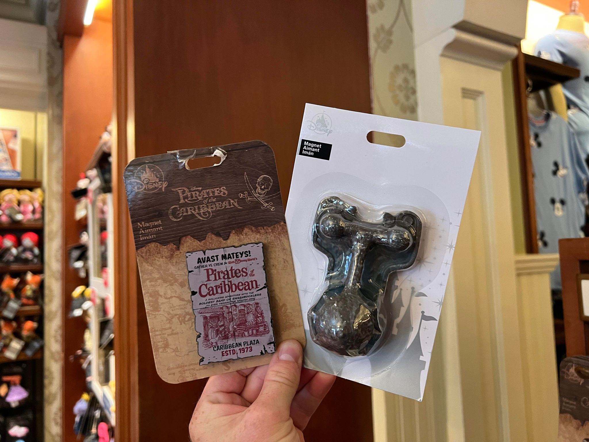 pirates haunted mansion magnets