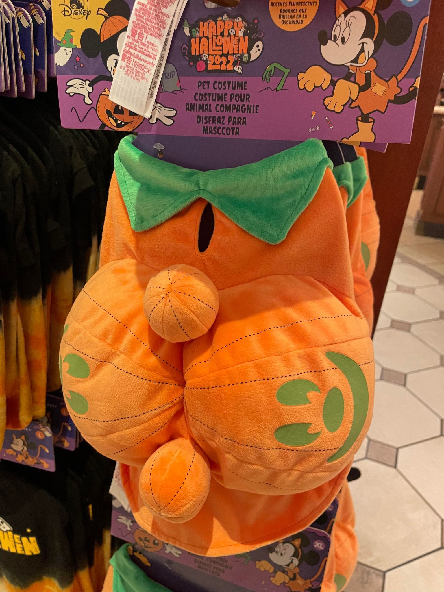 pet pumpkin costume