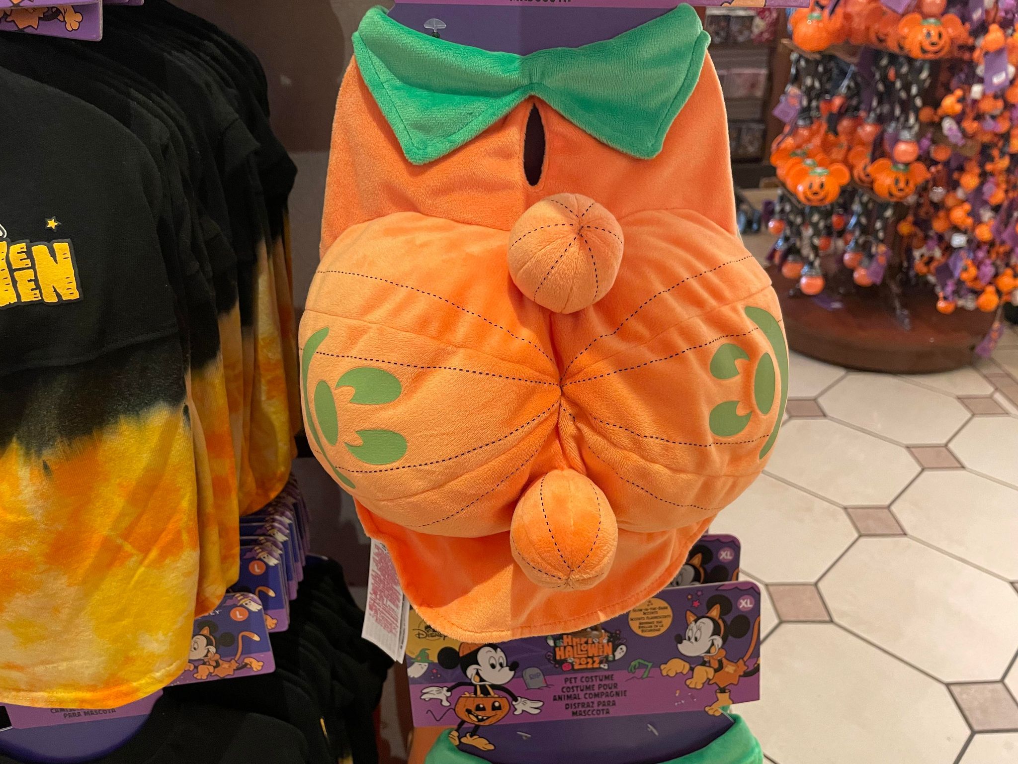 pet pumpkin costume