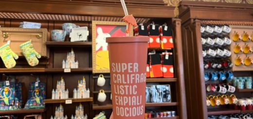 mary poppins sipper