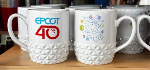 40th Anniversary Mug