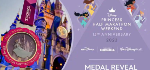 runDisney Princess Half Marathon Medals
