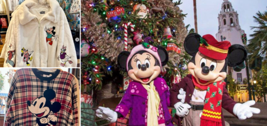 Disneyland Seasonal Sweaters