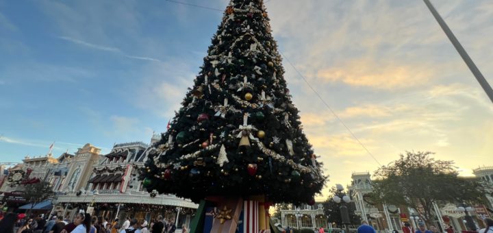 Magic Kingdom Christmas Tree